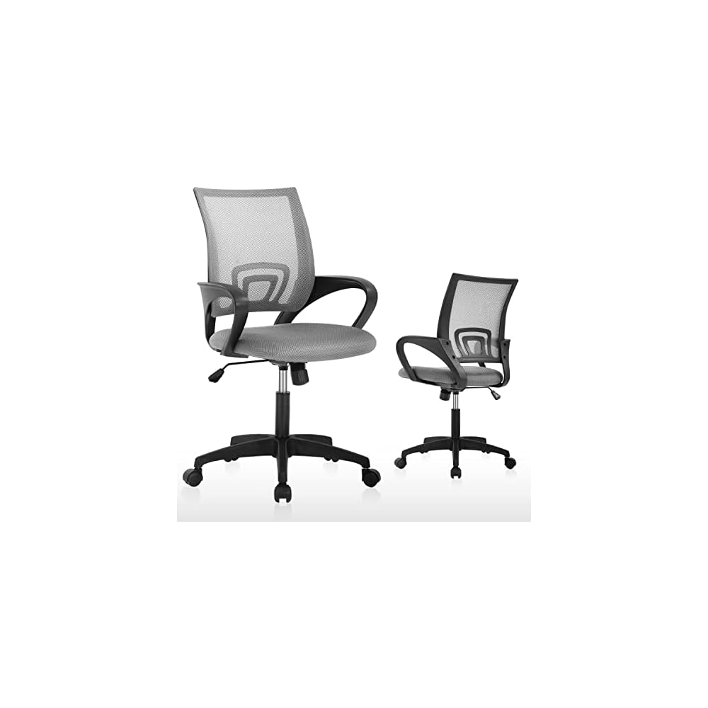 FLL Ergonomic Adjustable Office Chair Mesh Computer Desk Executive Task Chair Adjustable Height,Swivel Computer Mesh Chair Task Chair Lumbar Support Armrest for Home Office,Grey, 19 x 20 x 38 inches